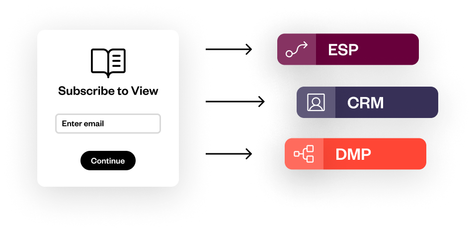 A left panel shows a "Subscribe to View" prompt with an email entry field, while the right panel displays three options: ESP (purple), CRM (blue), and DMP (red). They are connected via arrows.