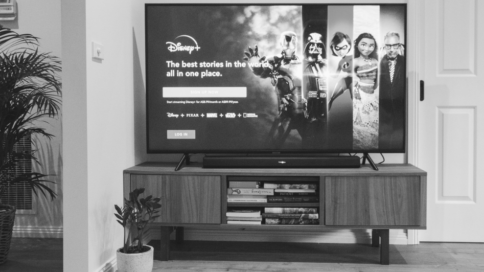 Black and white image of a television on a stand displaying a Disney+ interface. A potted plant and books are underneath the stand.