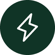 White lightning bolt icon in a dark green circle.